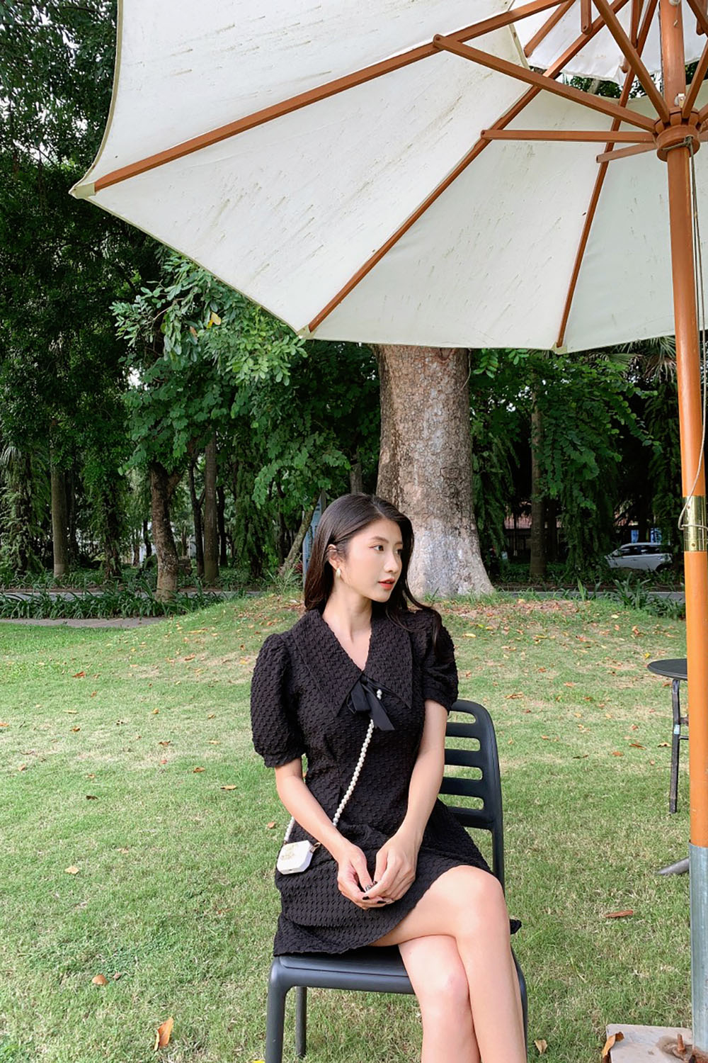 Đầm đen xòe cổ sen phối nơ tay ngắn