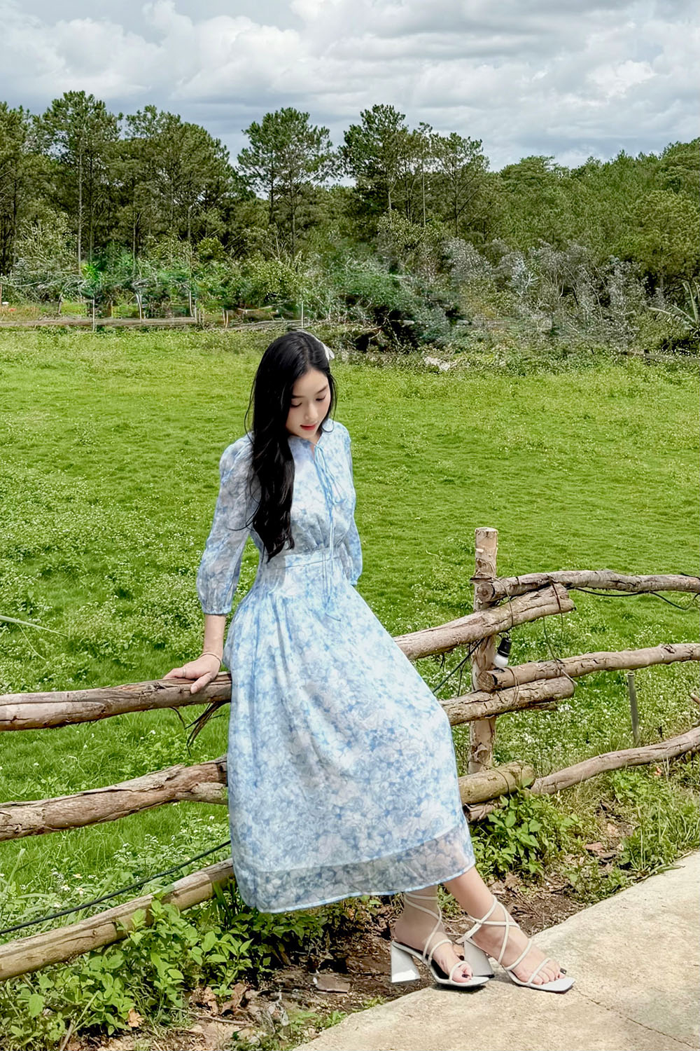 Đầm xòe voan hoa xanh tay lửng