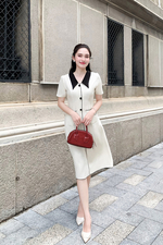 Đầm công sở chữ A cổ sen đen phối nút