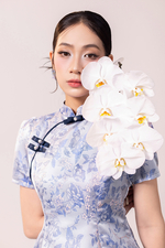 Áo kiểu Lam Viên