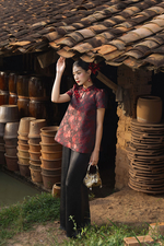 Áo kiểu Hồng Ảnh