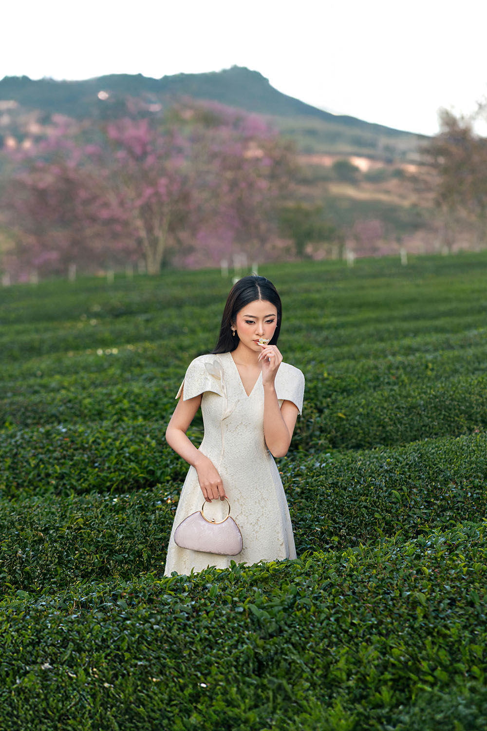 Đầm ren kem xòe dự tiệc cổ V đính hoa