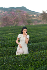 Đầm ren kem xòe dự tiệc cổ V đính hoa