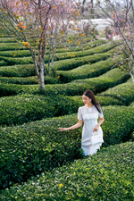 Đầm trắng dự tiệc phối ren đính hoa