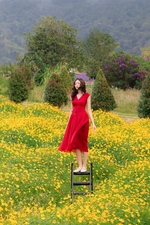 Đầm xòe đỏ sát nách cổ V đính hoa