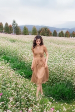 Đầm xòe tơ nhấn eo đính hoa