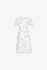 Đầm trắng chấm bi dáng xòe cổ sen