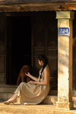Áo gile caro cổ sen viền đăng ten