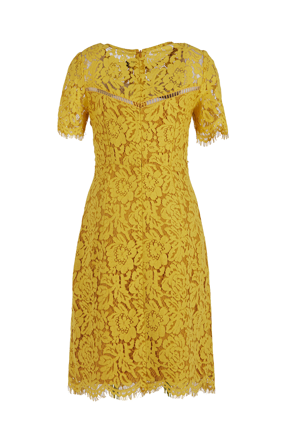 Đầm ren cotton dáng ôm body tay ngắn 