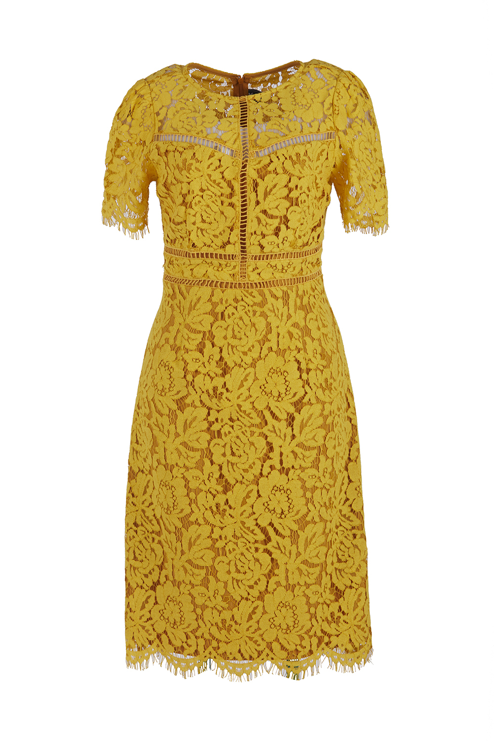 Đầm ren cotton dáng ôm body tay ngắn 