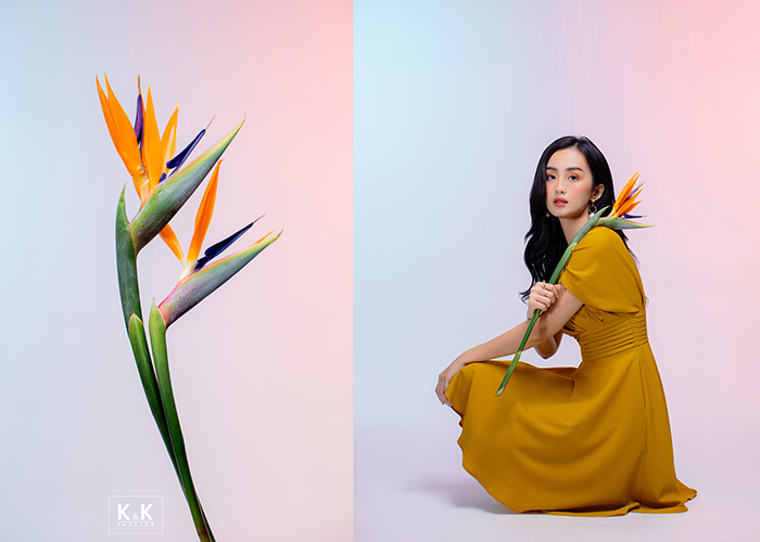 Đầm xòe cổ V xếp ly KK106-15